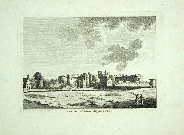 Beaumarais Castle (Plate 1)
